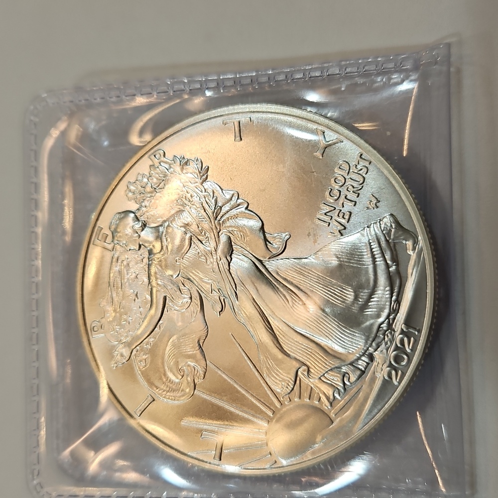 2021-W SILVER EAGLE UNCIRCULATED IN PLASTIC FLIP CASE